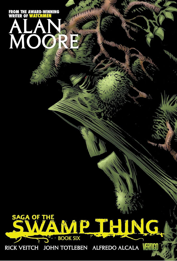 Saga of the Swamp Thing (Saga of the Swamp Thing, 6) Paperback